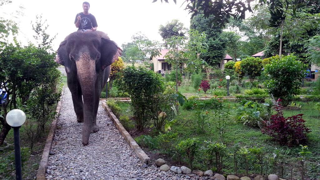 Chitwan Safari Camp & Lodge 索拉哈 外观 照片