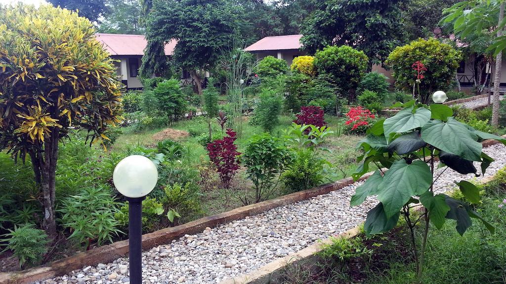Chitwan Safari Camp & Lodge 索拉哈 外观 照片