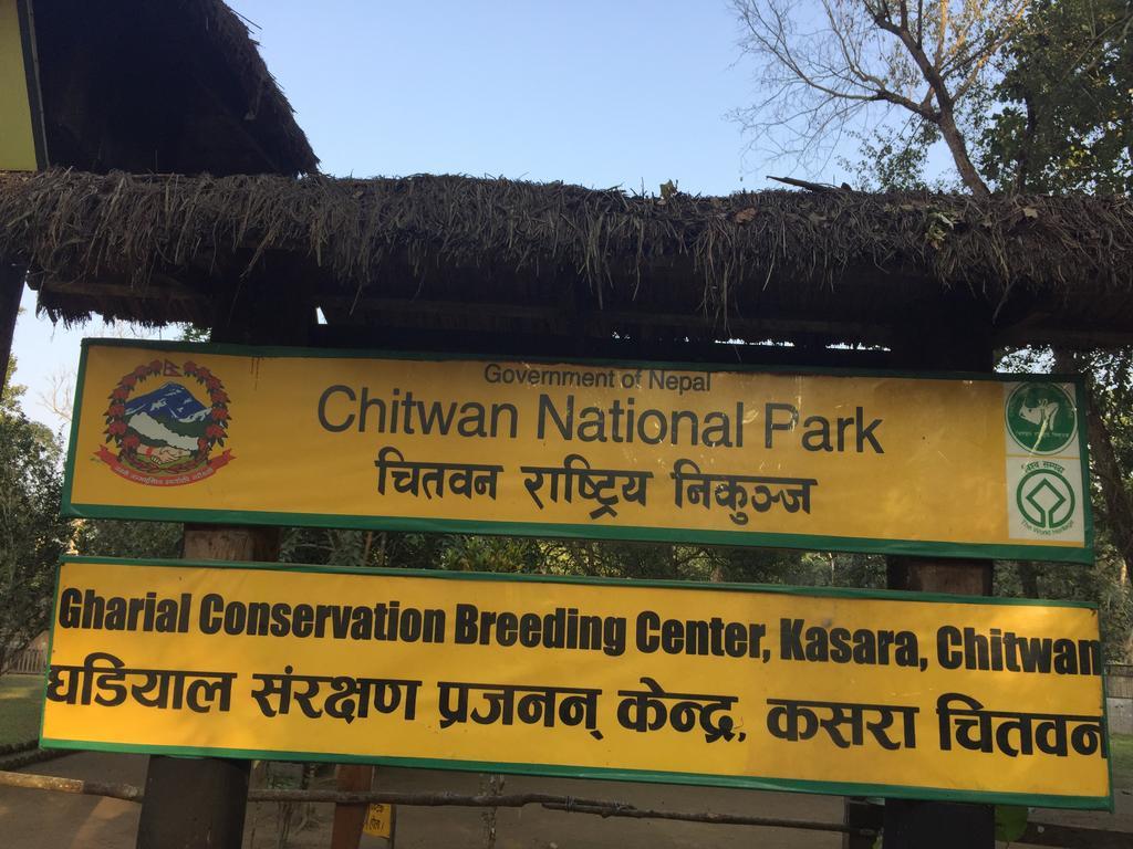 Chitwan Safari Camp & Lodge 索拉哈 外观 照片