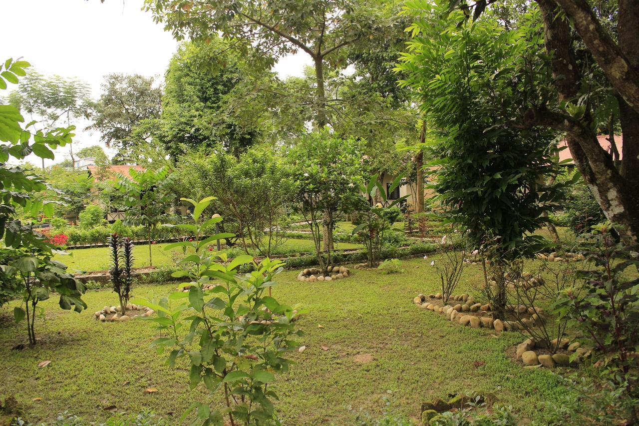 Chitwan Safari Camp & Lodge 索拉哈 外观 照片