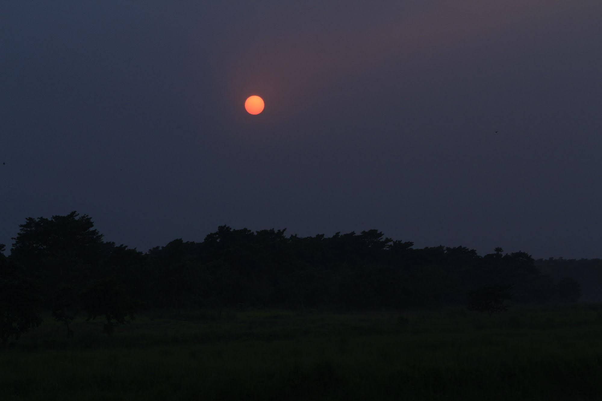 Chitwan Safari Camp & Lodge 索拉哈 外观 照片