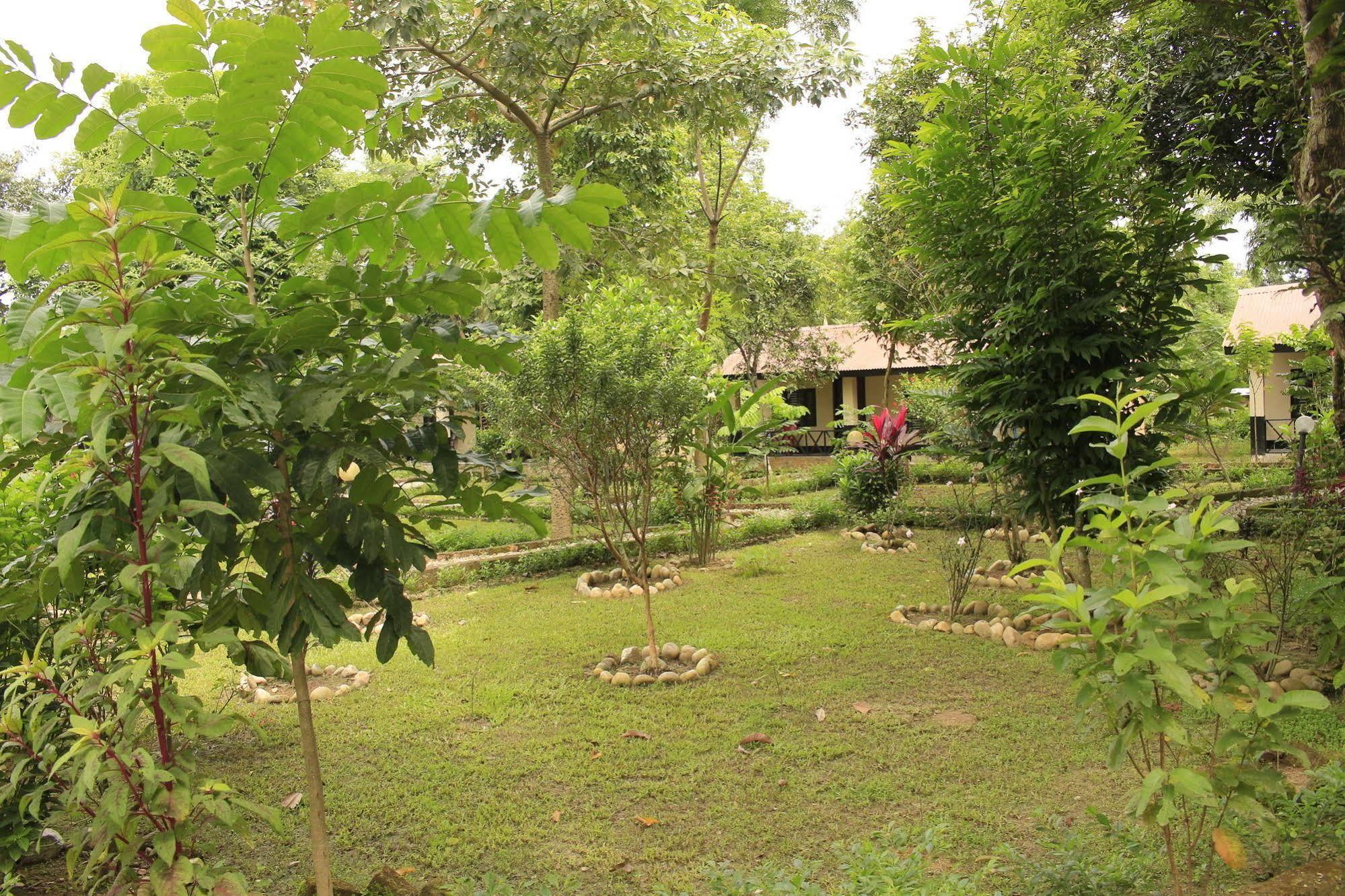 Chitwan Safari Camp & Lodge 索拉哈 外观 照片