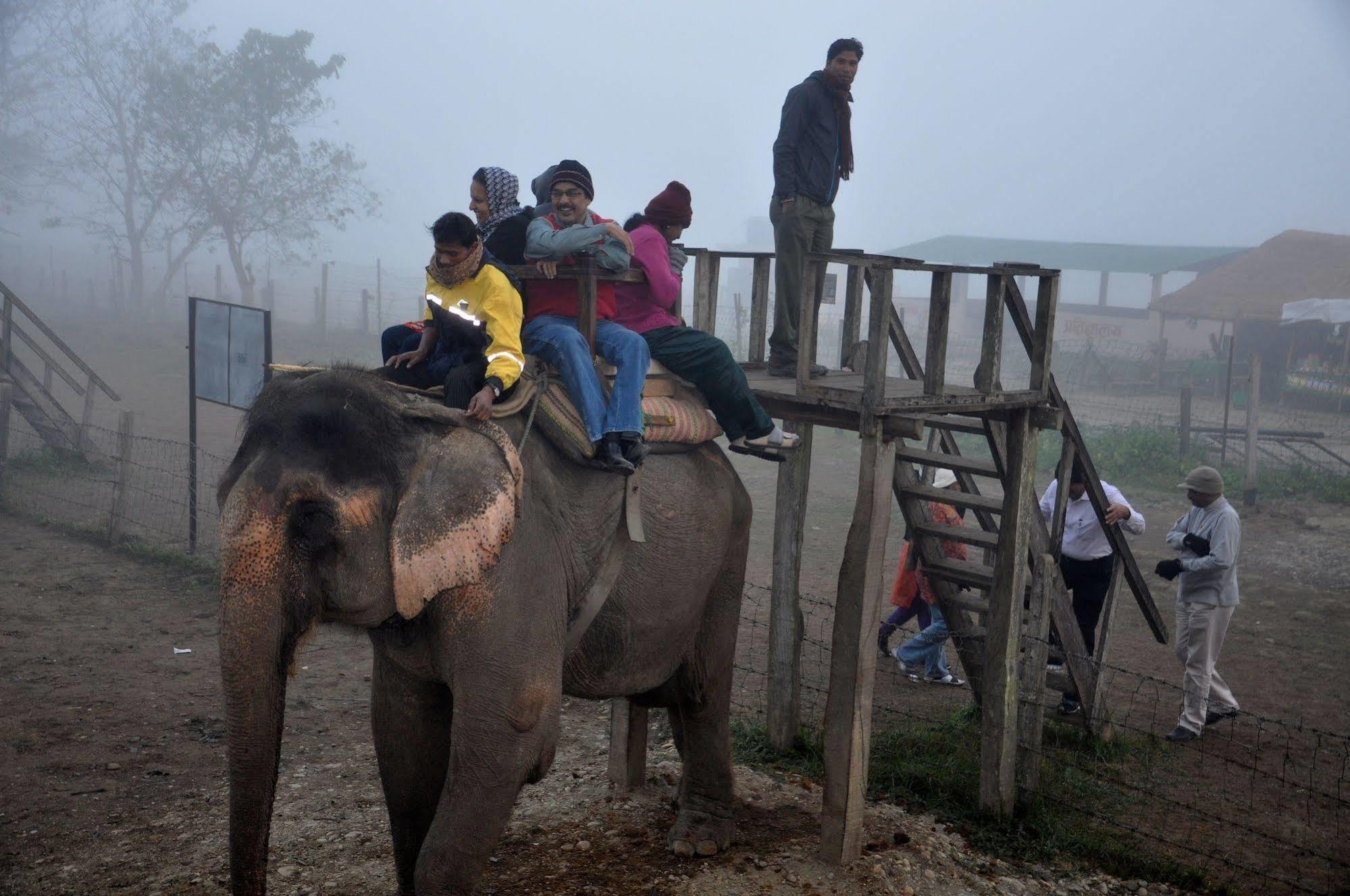 Chitwan Safari Camp & Lodge 索拉哈 外观 照片